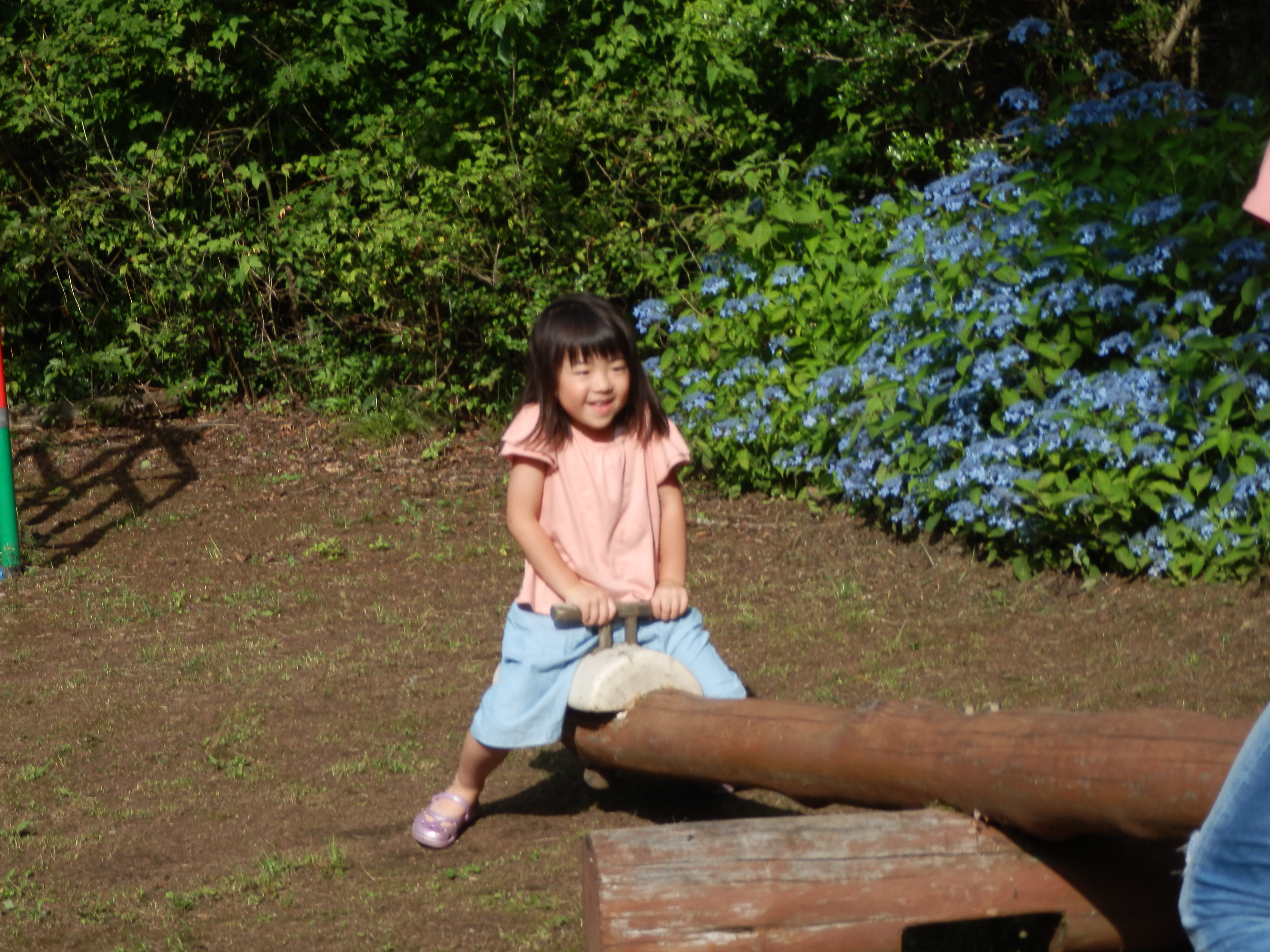 遊び「シーソー」１