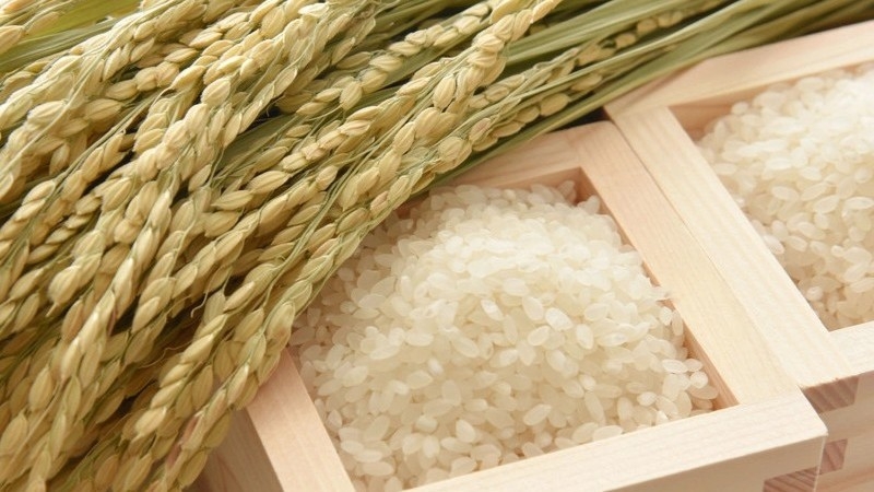 「佐渡島の金山」世界遺産登録１周年記念【美食旅】“新潟清酒と新潟米”郷土料理も満載の夕朝食ビュッフェ