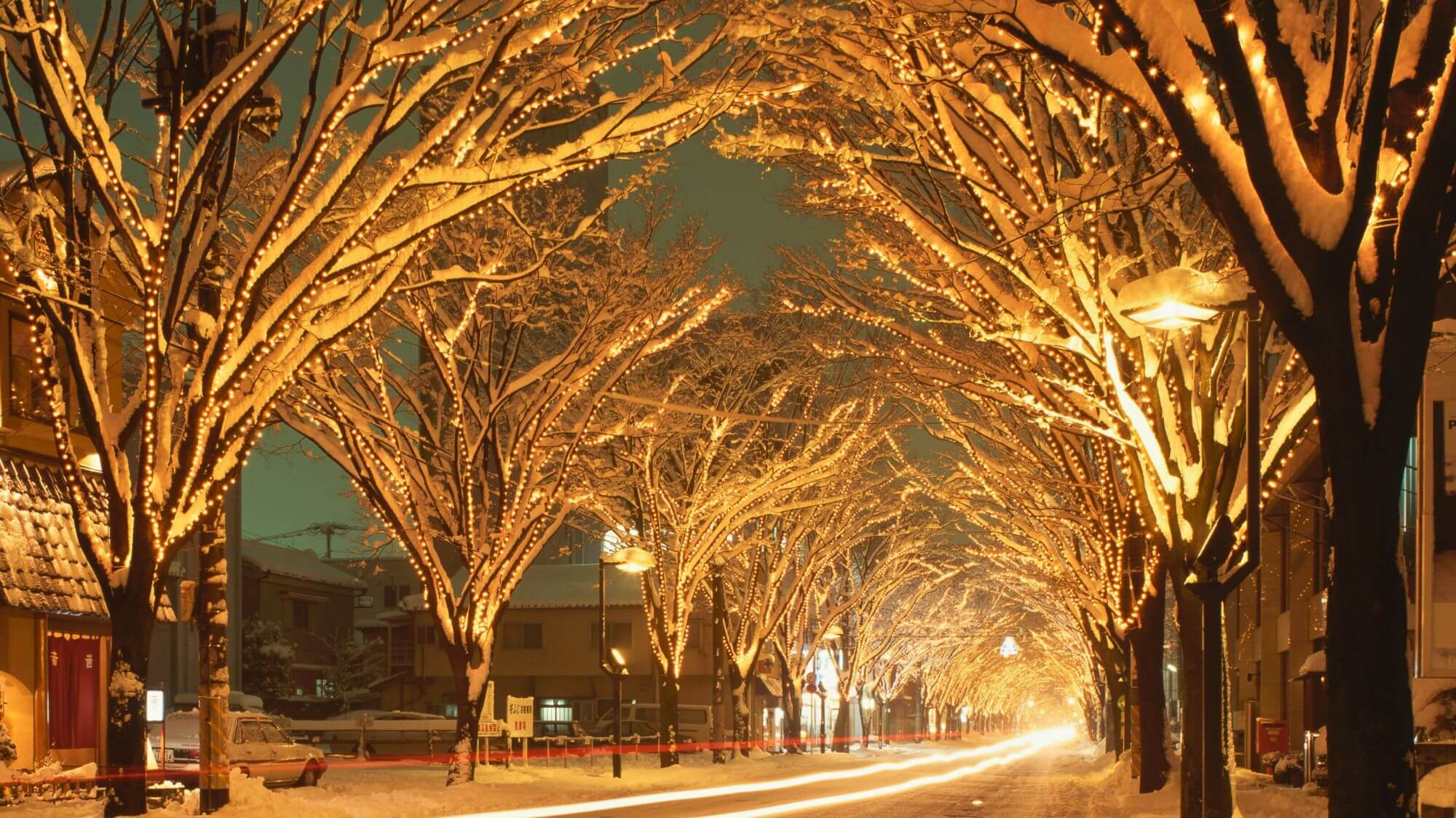 【イルミネーション】冬の新潟では各地でさまざまな雪まつりやイルミネーションが開催されます！