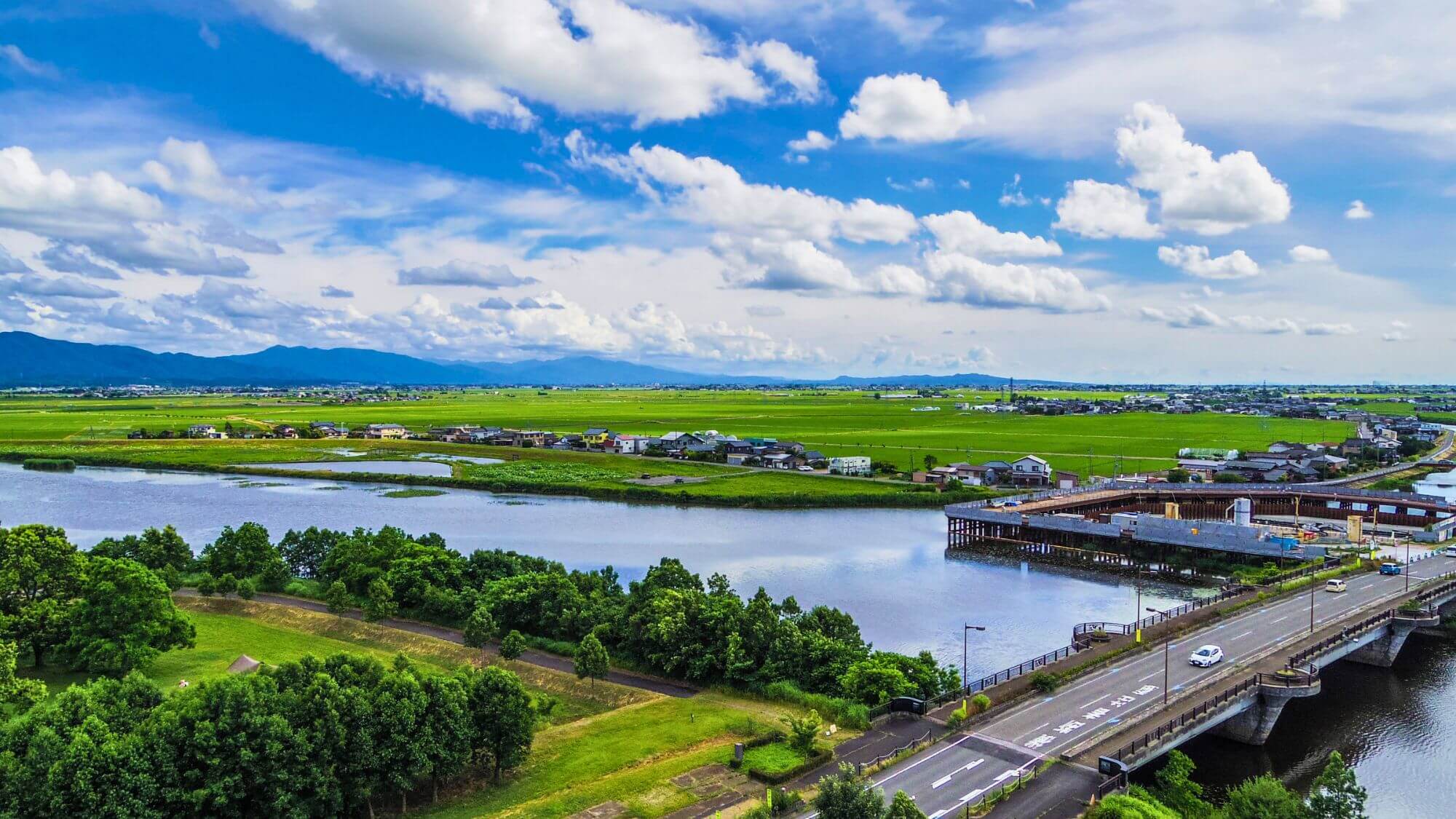 【福島潟】お車15分。水生・湿性植物や野鳥の宝庫として有名な田園です。展望台からの眺めは最高です。