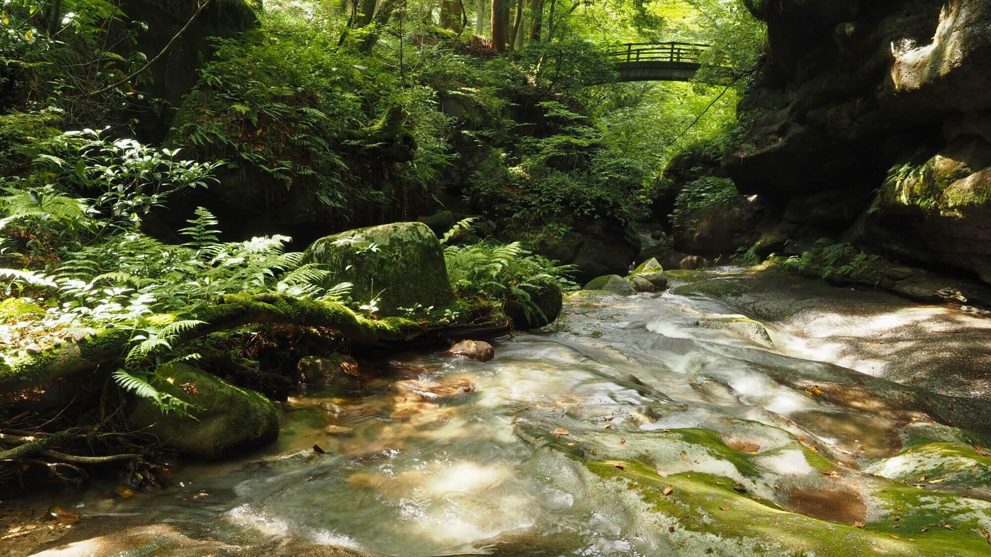 【荒川剣龍峡】（お車12分）五頭県立自然公園の北端、杉木立や広葉樹を流れる美しい清流に癒されます。