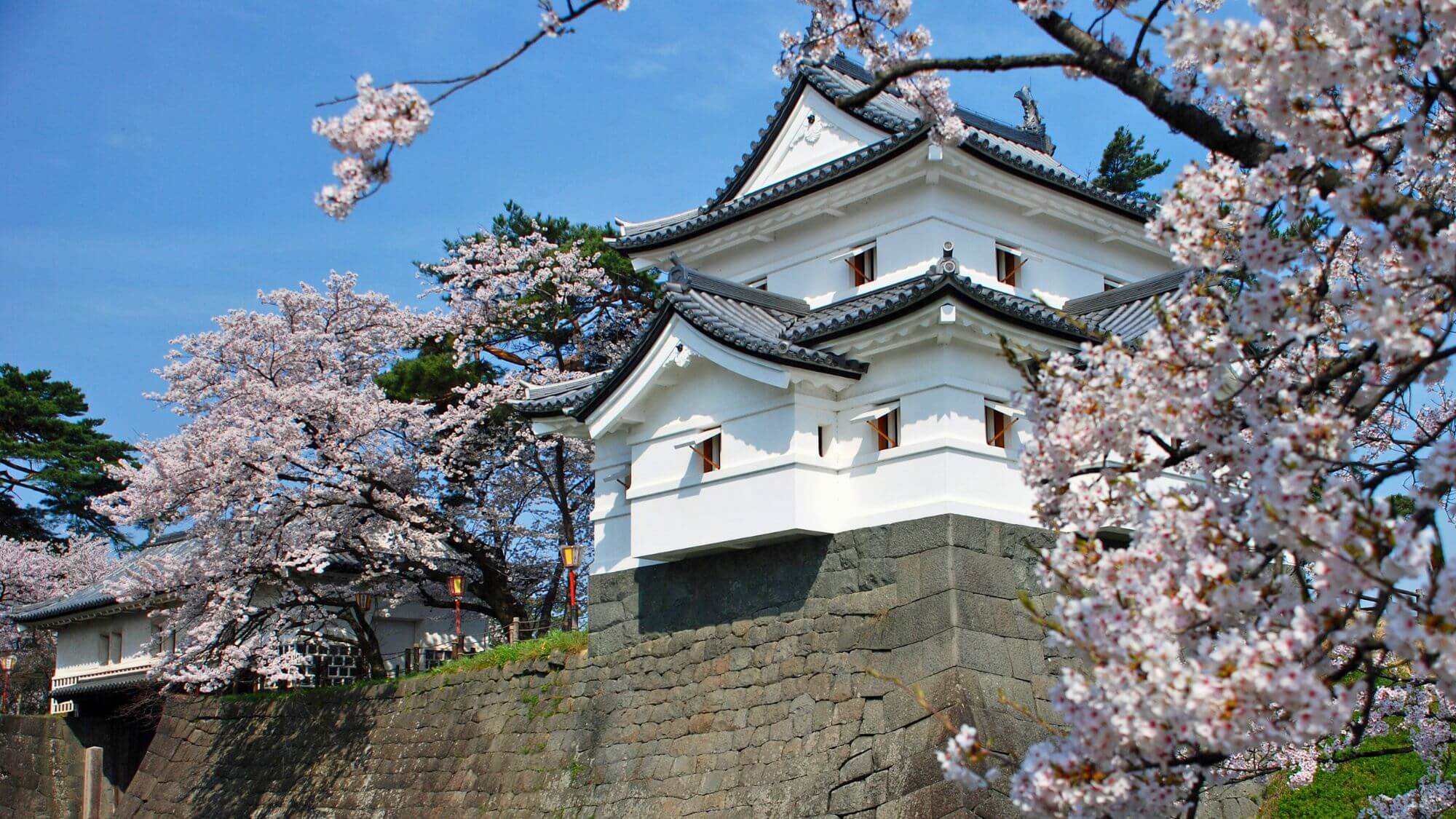 【新発田城】お車で20分。別名「あやめ城」桜の時期にはライトアップや露店で賑わう春祭りが開催されます