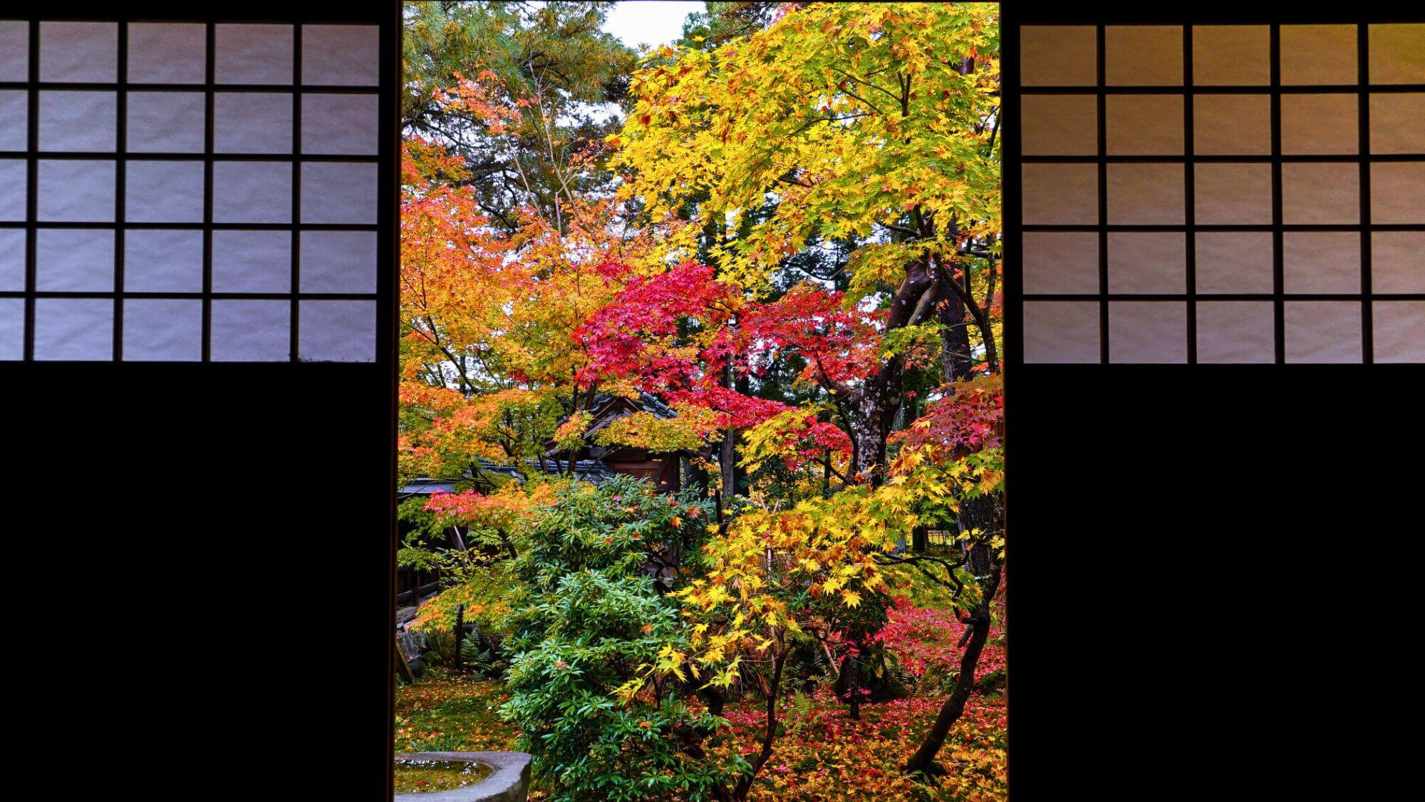 【清水園】お車15分。秋には茶室から紅葉と池泉の景観を楽しめます。