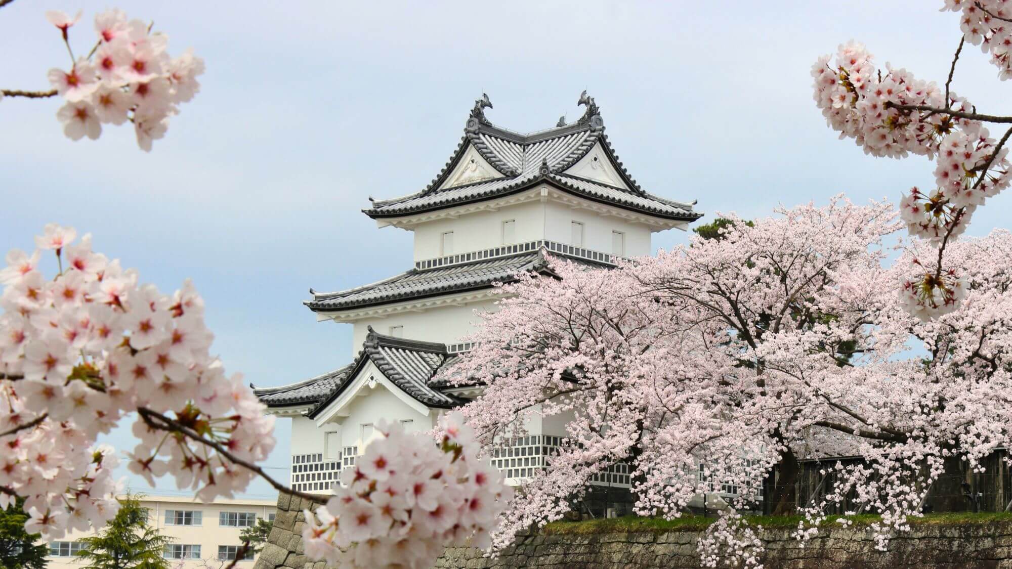 【新発田城】お車で20分。日本100名城の一つであり、春には桜の名所としても人気です。