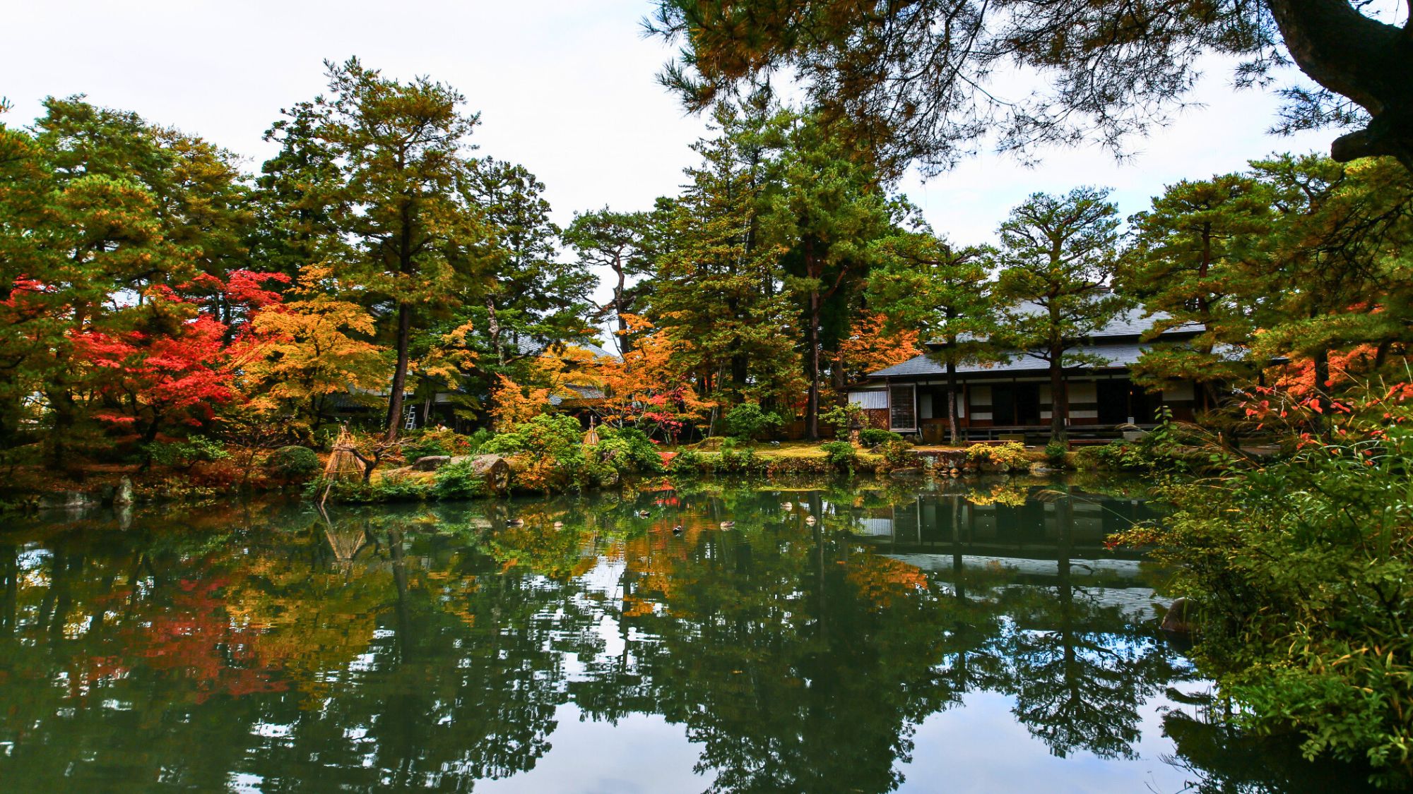 【清水園】通年人気の観光地ですが、秋は紅葉と池のコントラストが見事です！当館よりお車で約15分。