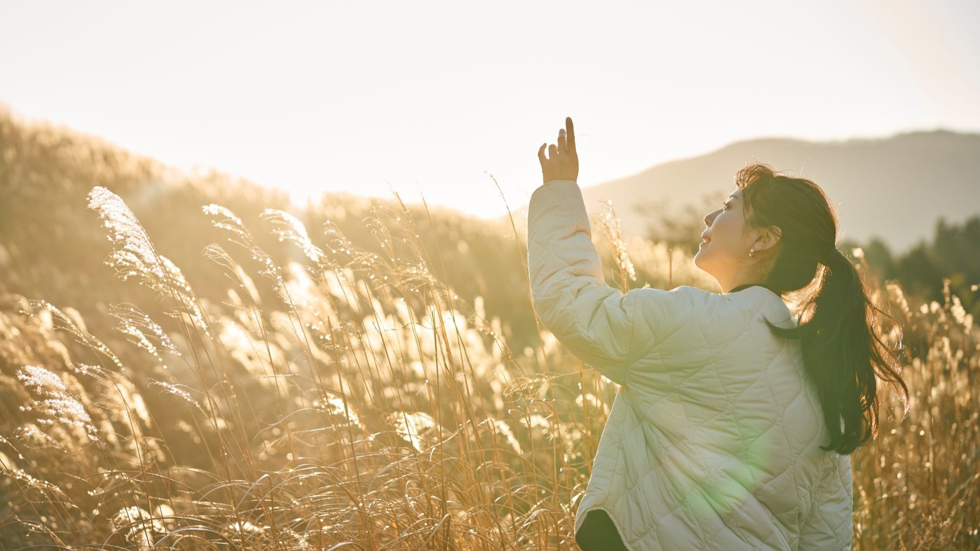 メルマガ：プラン画像