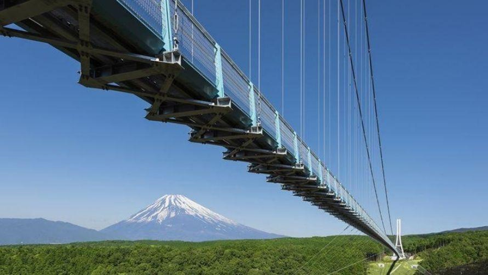 【三島スカイウォーク】全長400mの日本一長い歩行者専用吊橋。ホテルから車で約50分。
