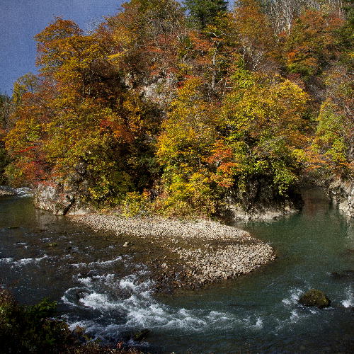 小松渕の紅葉