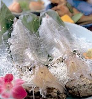 Live squid sashimi