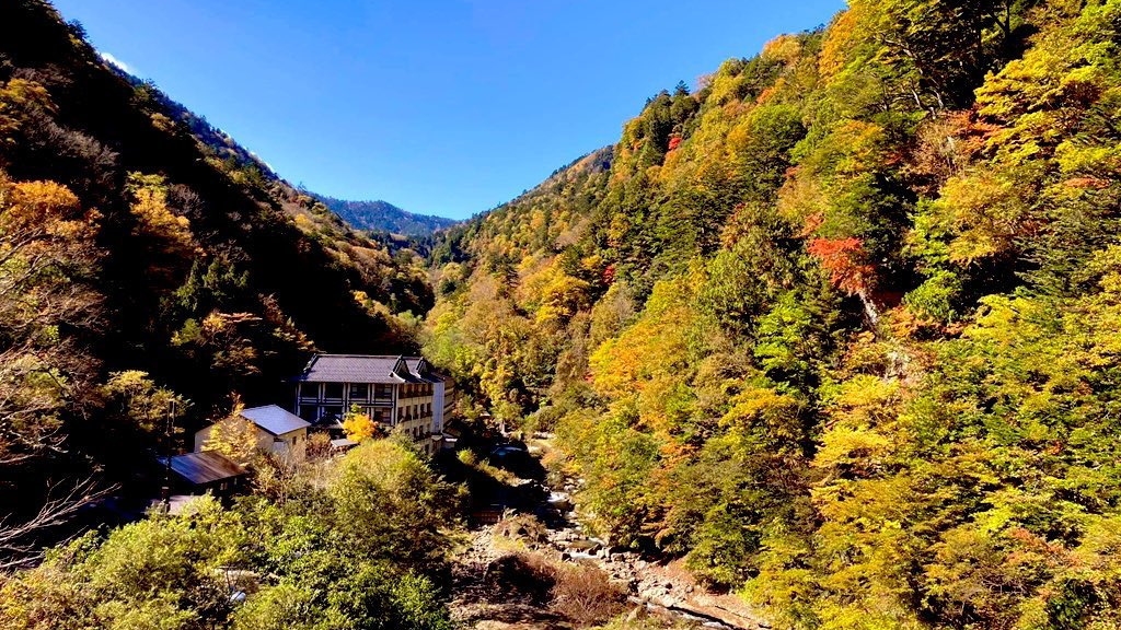 【スタンダードプラン】登山客の疲れを癒す秘湯の宿！チェックアウト１０時（送迎バスは11：20発）