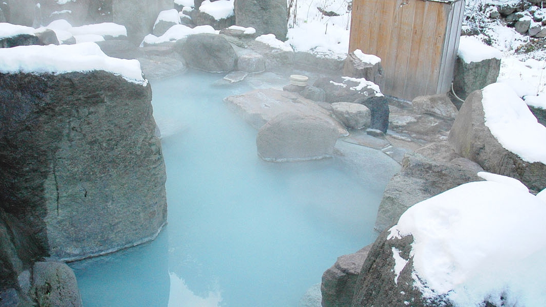 【スタンダードプラン】登山客の疲れを癒す秘湯の宿！チェックアウト１０時（送迎バスは11：20発）