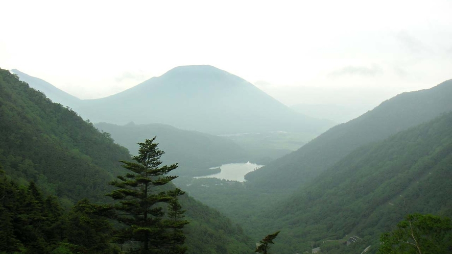 【周辺】根名草山