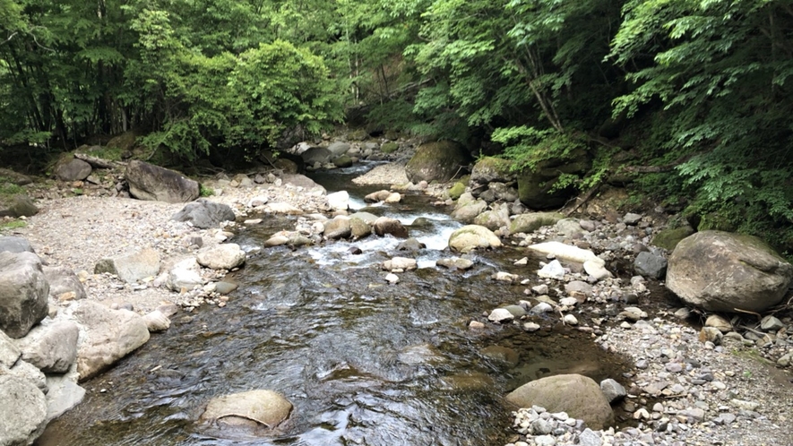 【周辺】鬼怒川の渓流の一部