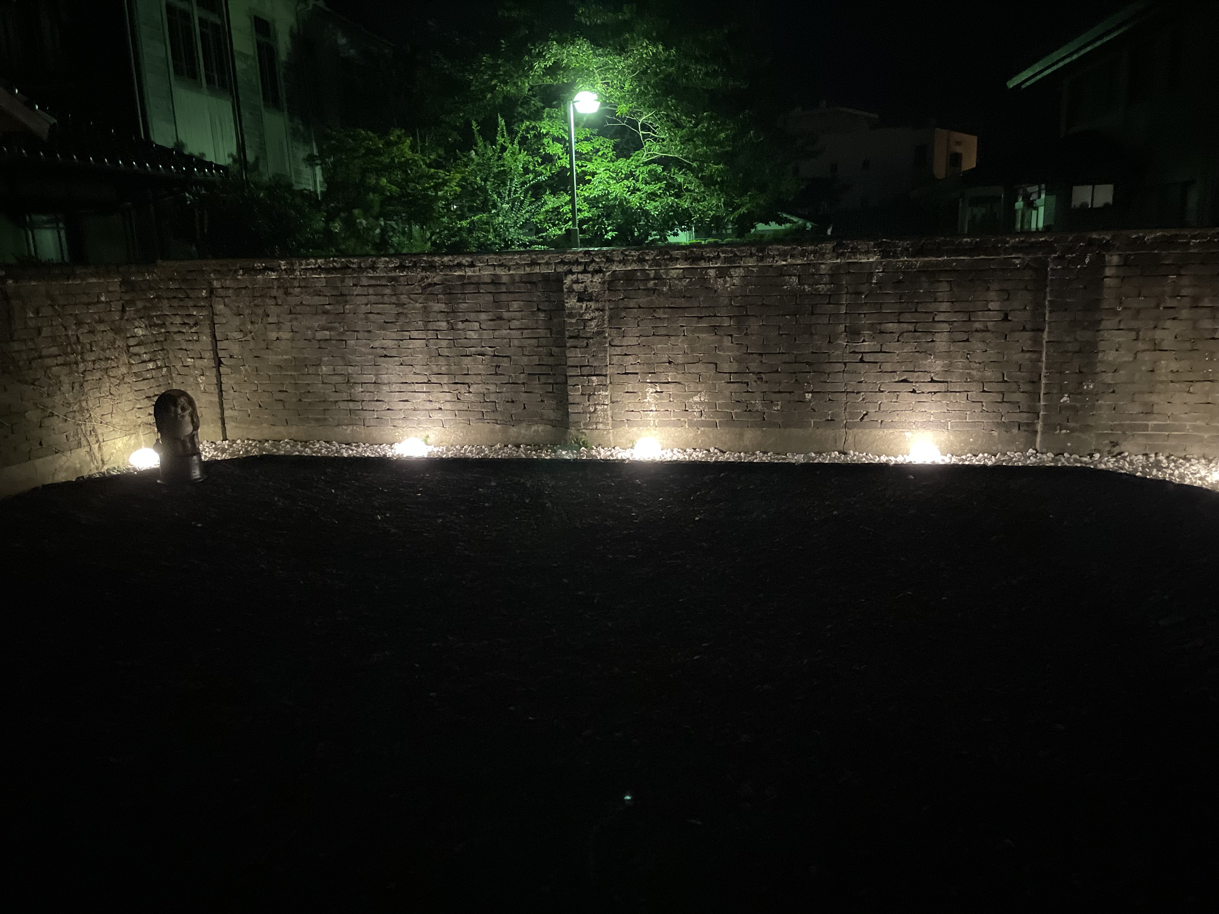 和室103の夜の庭