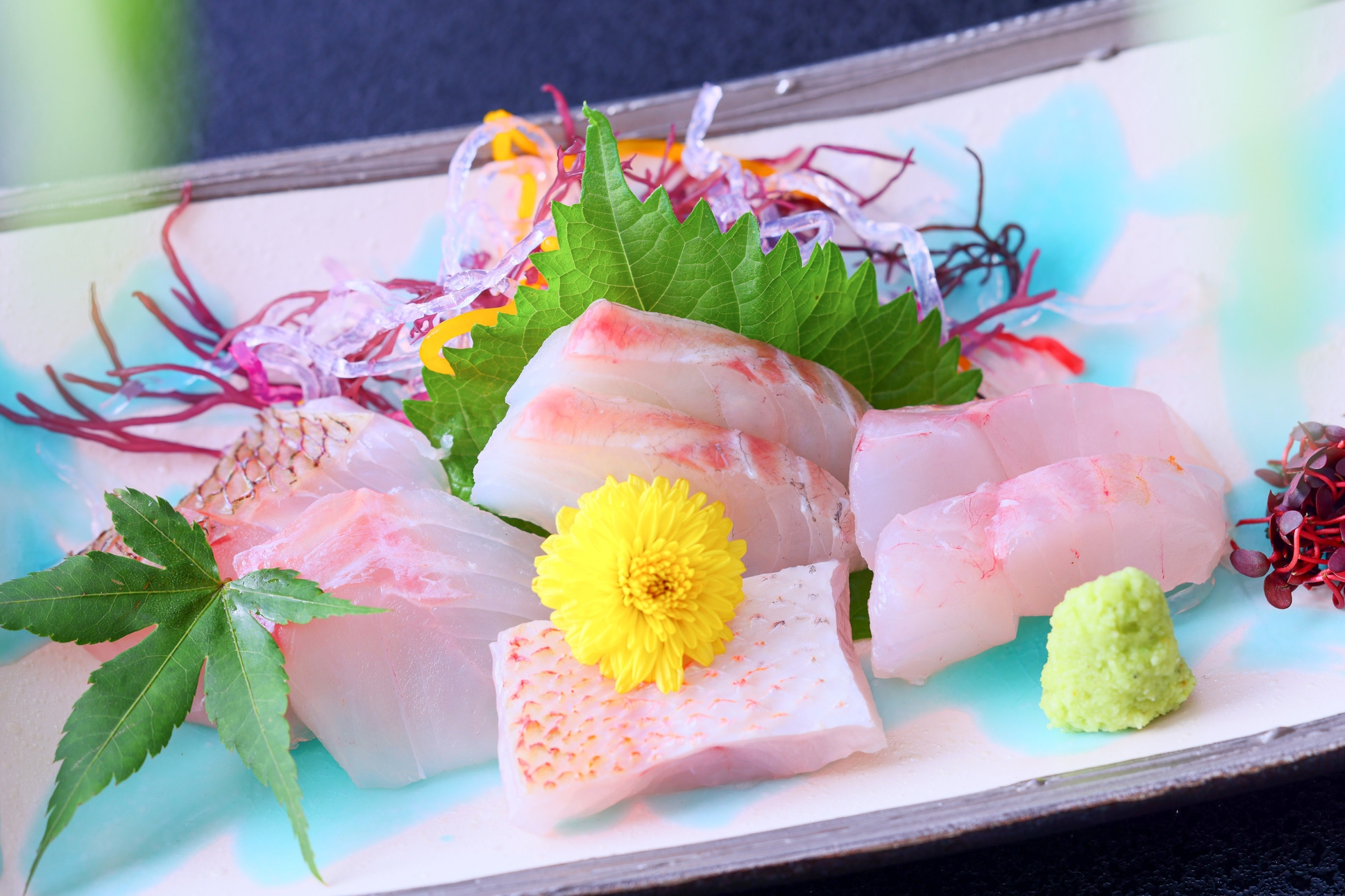 【3名様以上限定】料理長厳選お造り付き♪三世代ファミリープラン