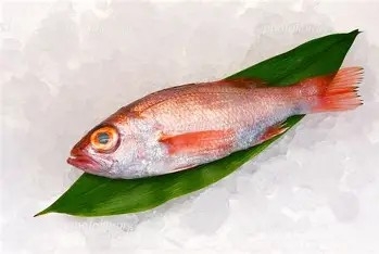 【贅沢三昧！】のどぐろ×ズワイガニ×黒毛和牛 秋の味覚饗宴