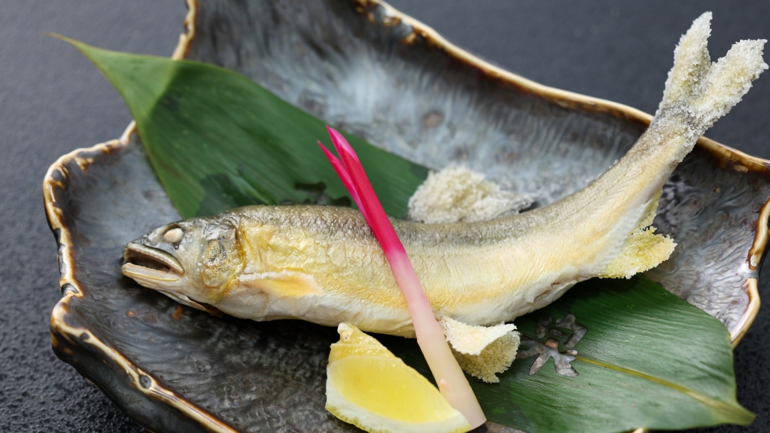 鮎の塩焼き