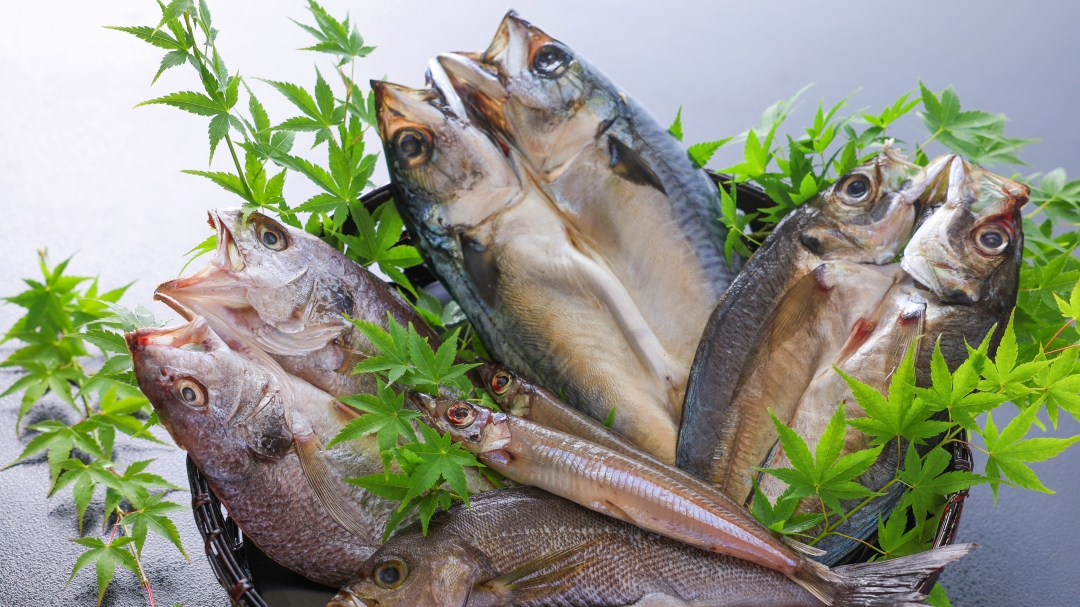 浜焼き（イメージ0