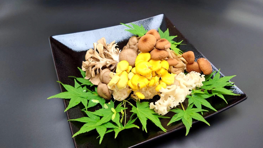 秋の恵み 盛り合わせ