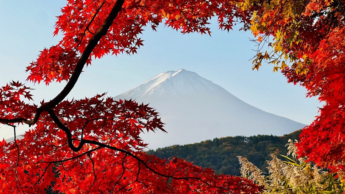 【秋冬SALE】【秋冬セール】『基本プラン』【二食付】富士河口湖紅葉まつり