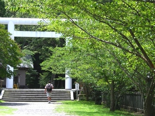 安房神社参道