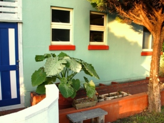カラフルな色の外壁と植栽