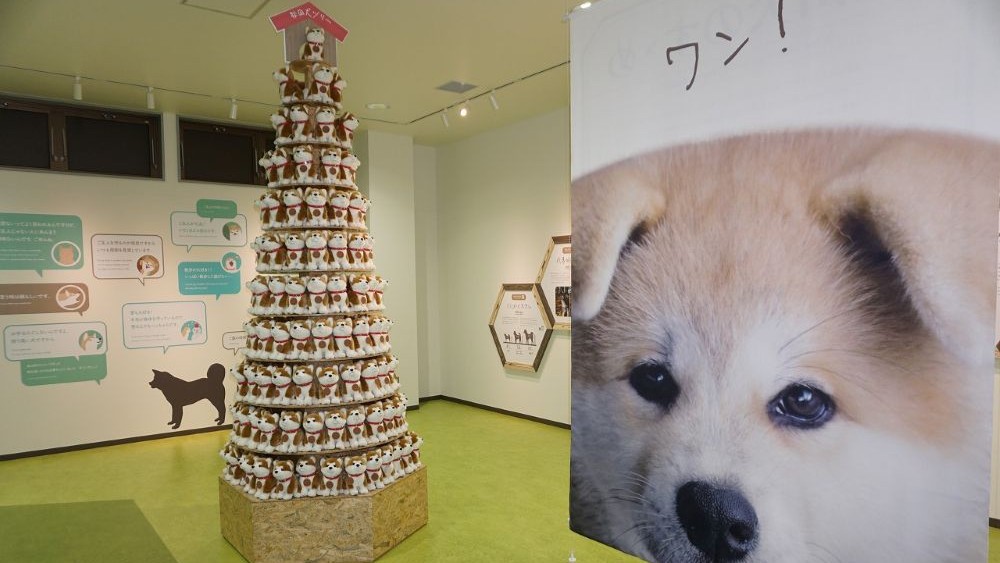 秋田犬ミュージアム