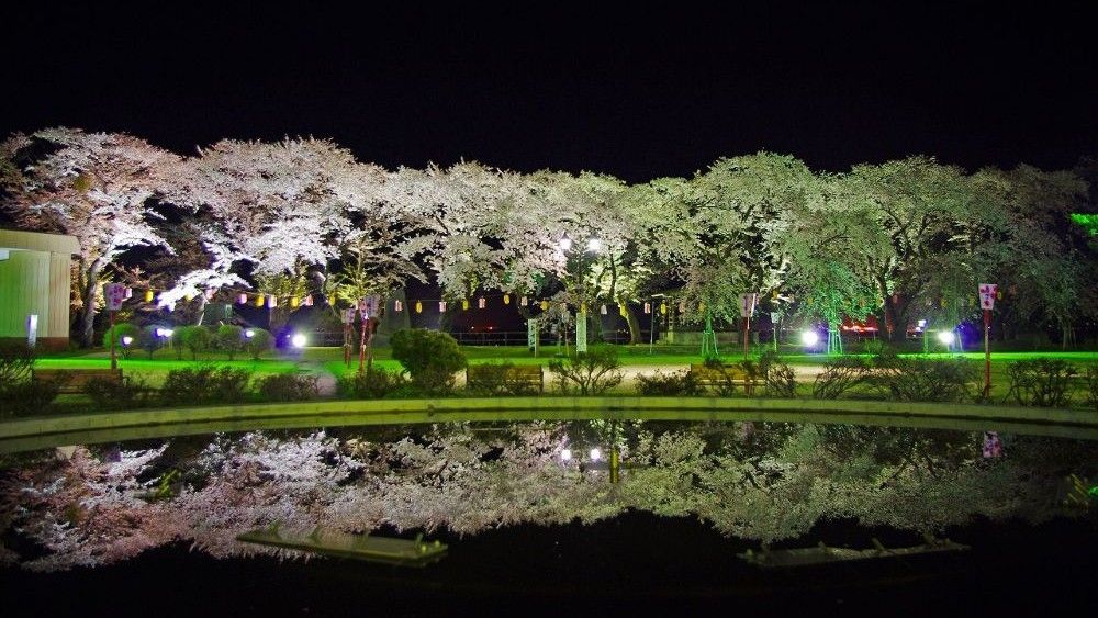 大館さくら祭り(夜)