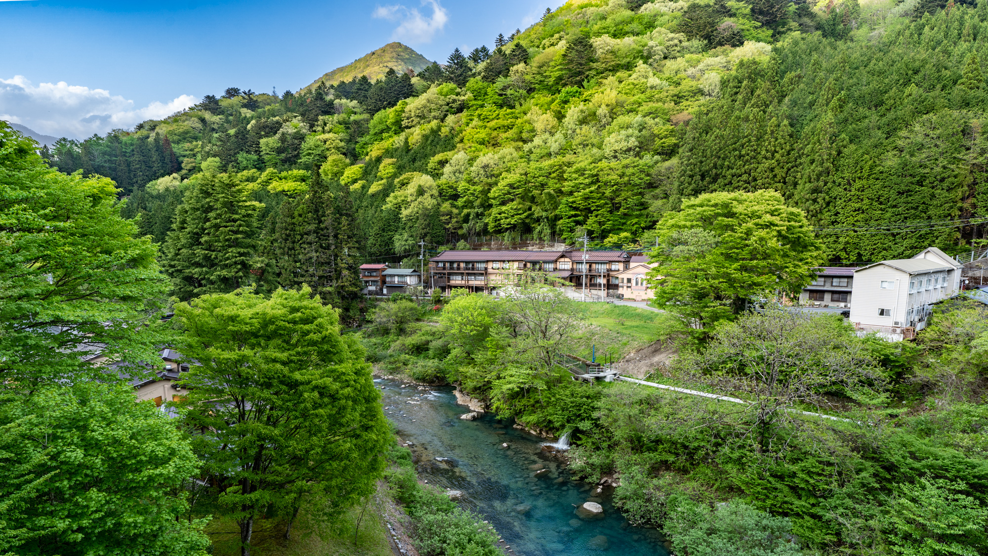 新緑の全景