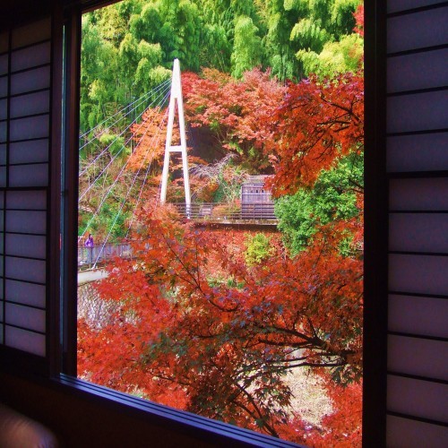 写真7