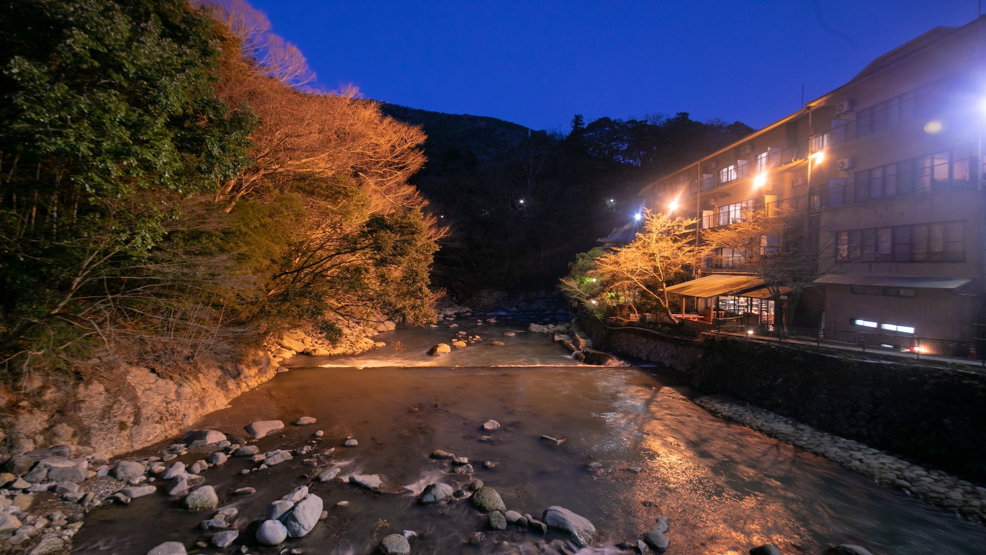 【夕刻】敷地内吊橋からの眺め