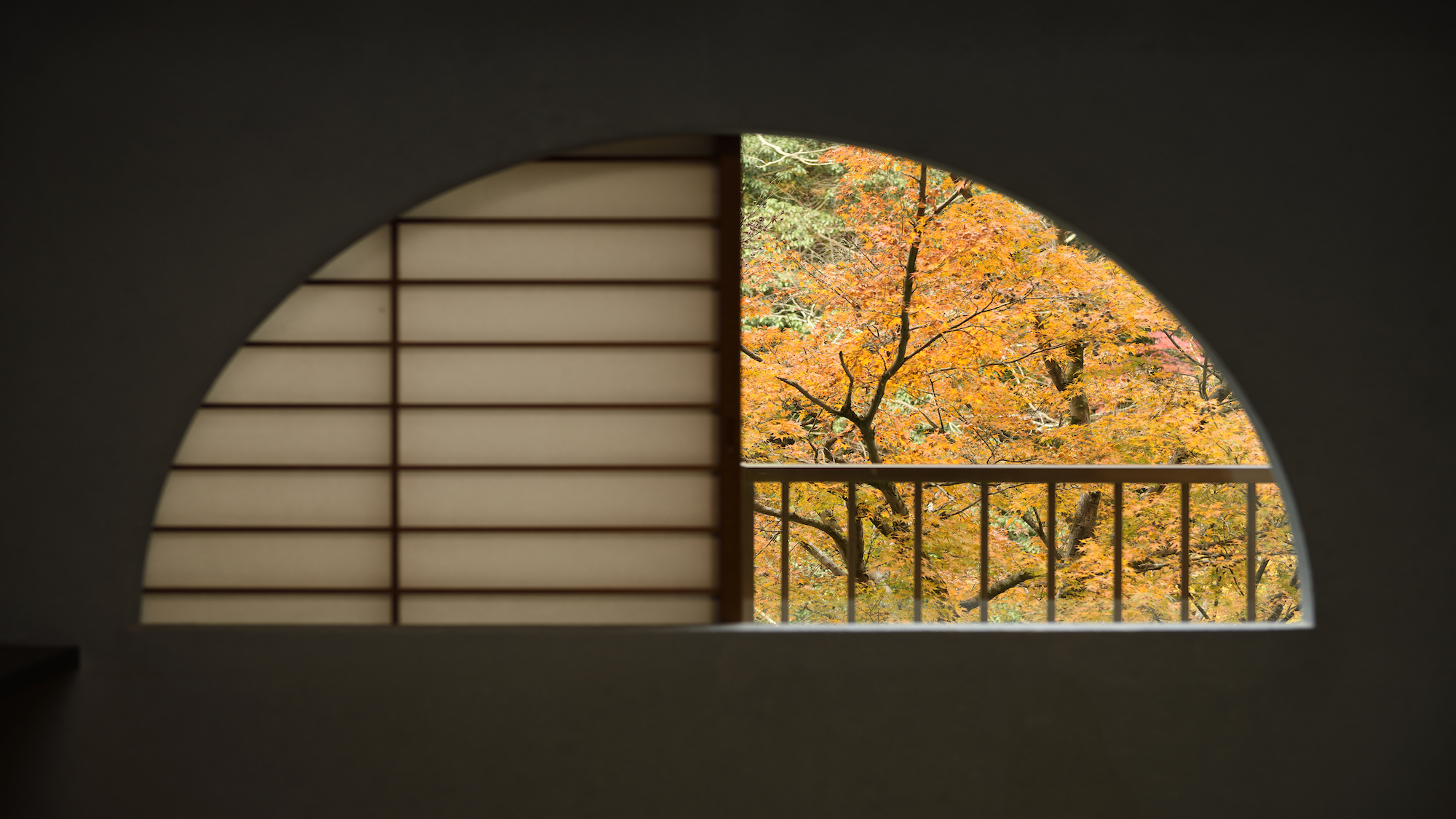 【秋】川側客室からの眺め