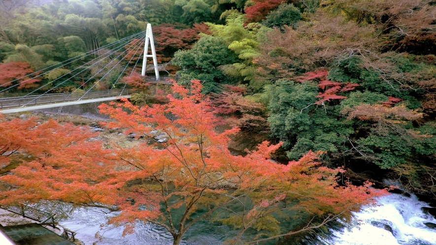【秋】川側客室からの眺め