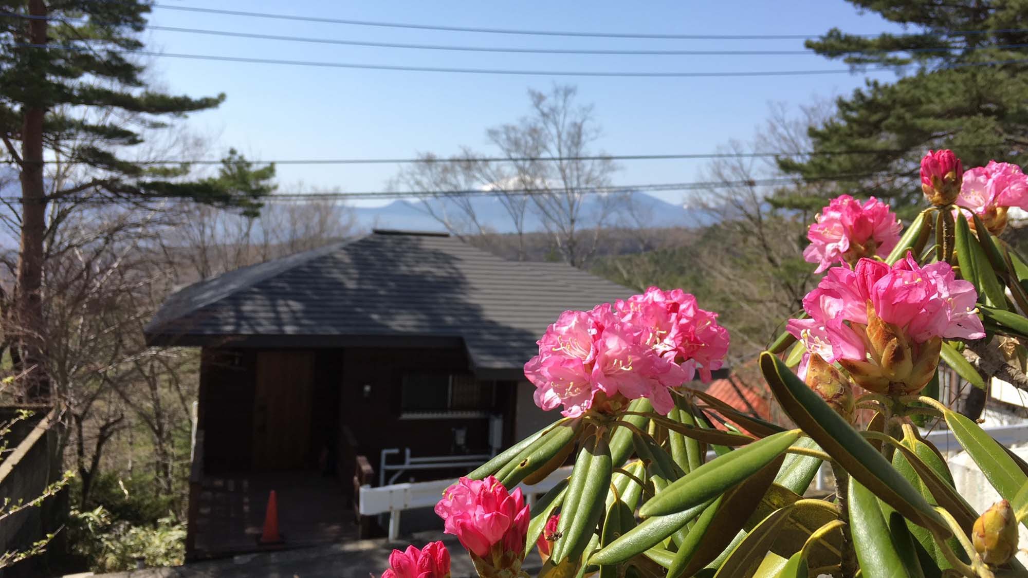 【素泊り】宿泊はリーズナブルに！自由な旅スタイルで草津温泉を満喫！