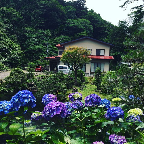 写真7