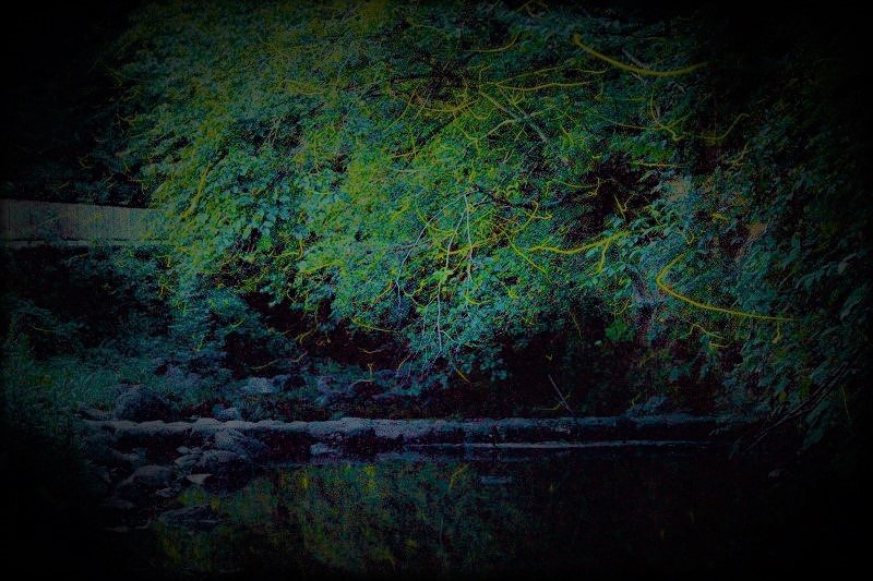 写真3