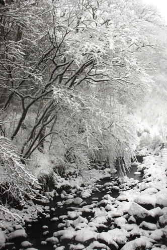 目の前の川初雪２０１６年１月１８日