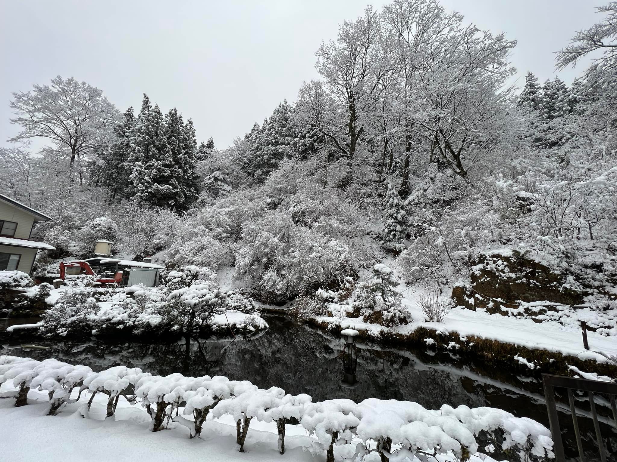 20220322池雪景色