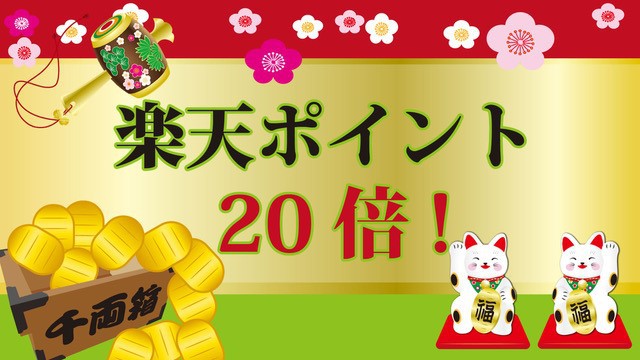 ◆楽天スーパーポイント20倍還元＋レイトアウト≪朝食無料＆駐車場無料≫【楽天ポイント倍率アップ】