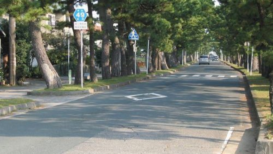 ［観光案内］「東海道松並木」当館より車で約15分。江戸時代を思い出させる、旧東海道の松並木。