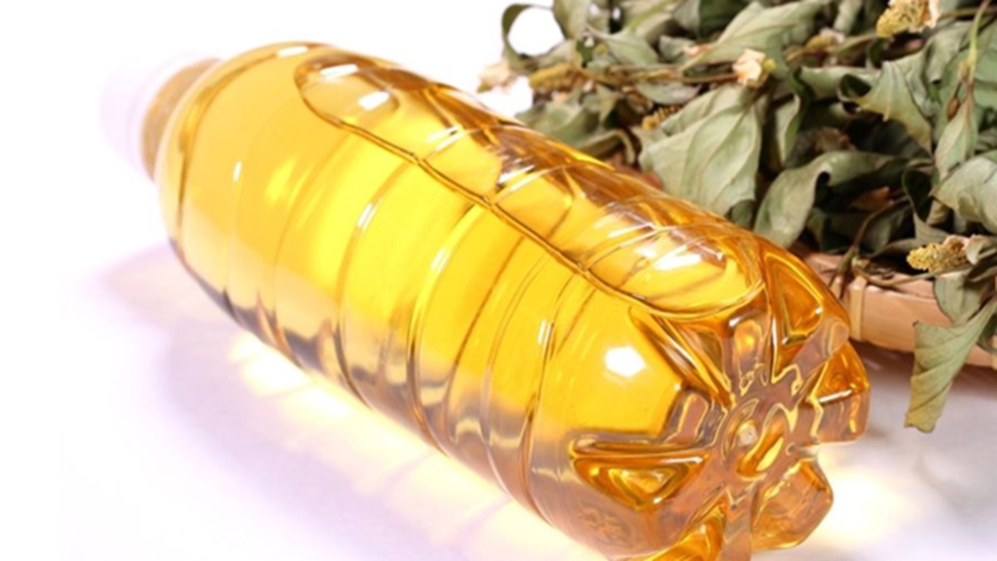 埼玉県民の日ウィーク特別宿泊プラン(室料のみ)