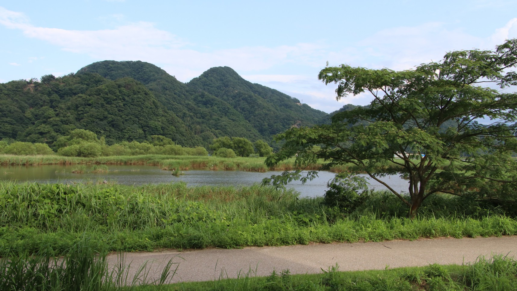 【１泊夕食付】＜春のお手軽旅プラン♪＞ご当地ブランド八鹿豚しゃぶ付きのおまかせ宴席料理