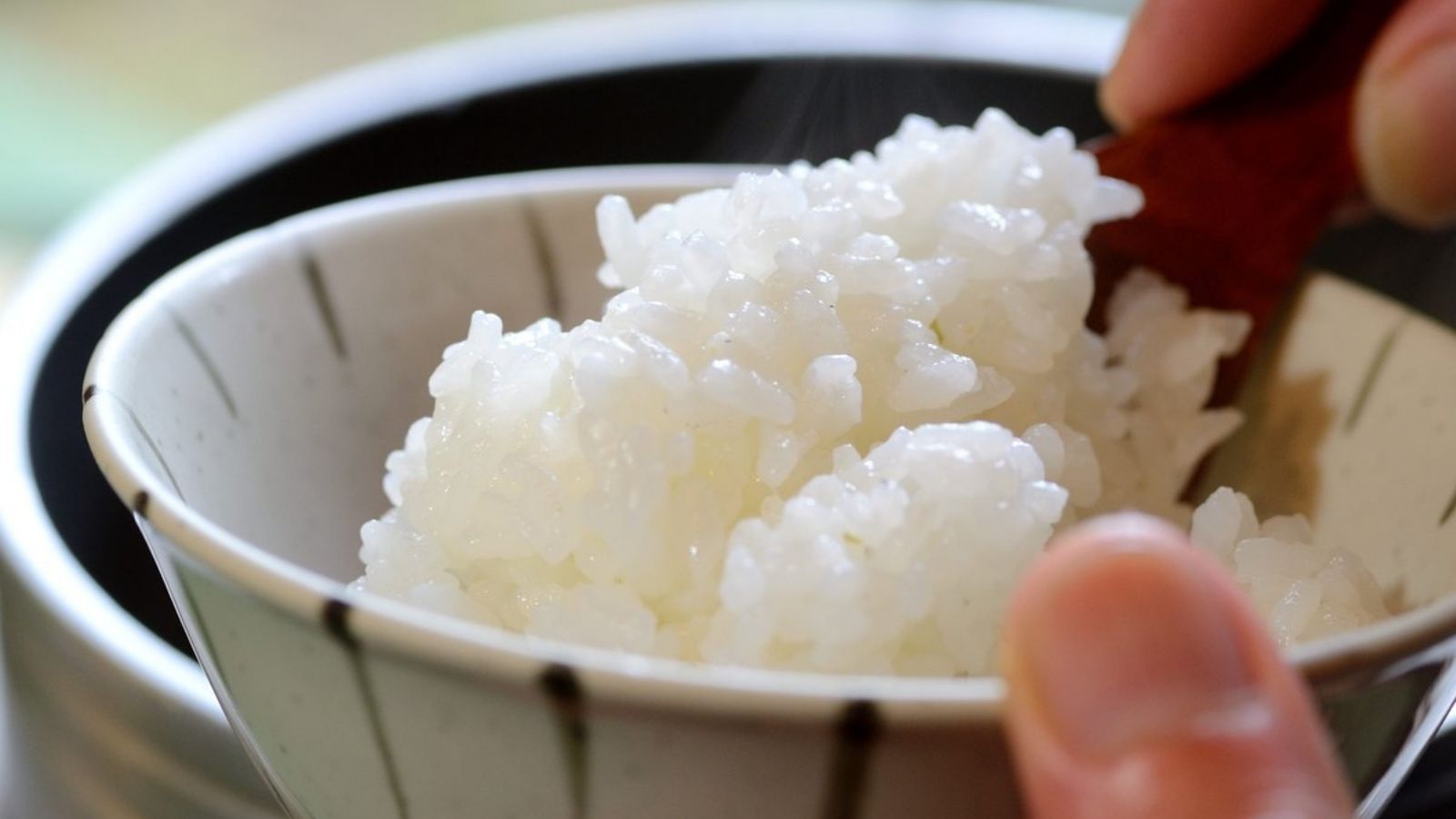 炊きたての飛騨米