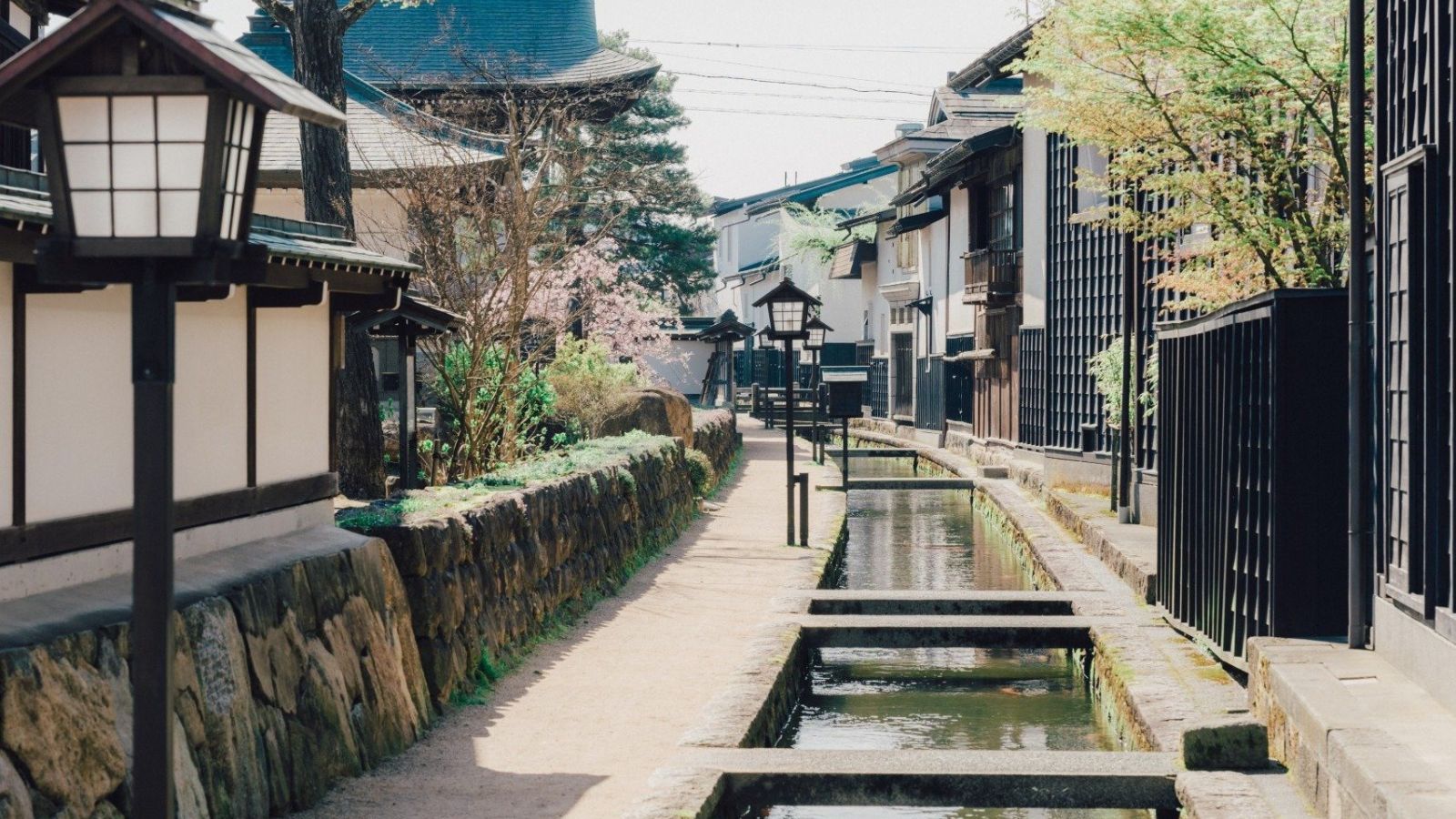 瀬戸川の通り悠々と鯉を眺めながら