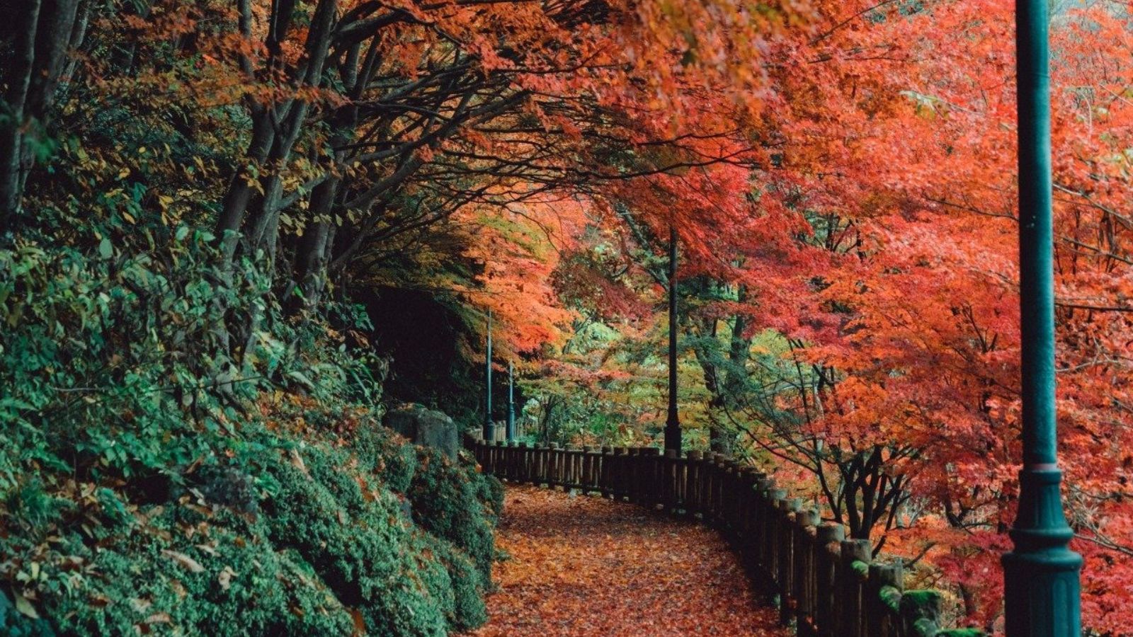 秋の神岡のまち