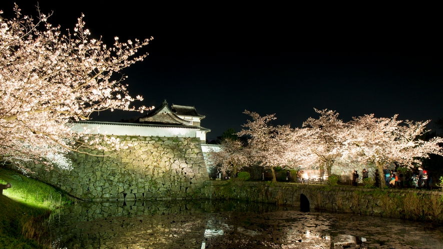 福岡城跡の桜(ライトアップ) → 車16分/地下鉄19分 [写真提供：福岡県観光連盟]