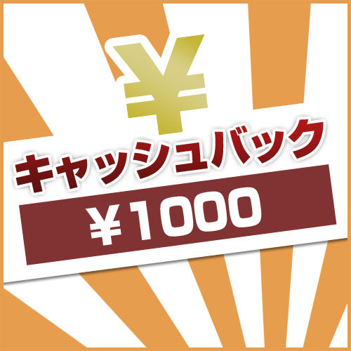  【1，000円キャッシュバック！】ビジネス応援☆宿泊料金で領収書発行！【現金決済特典】