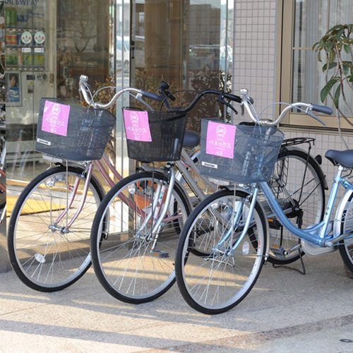 Bicycle Rental