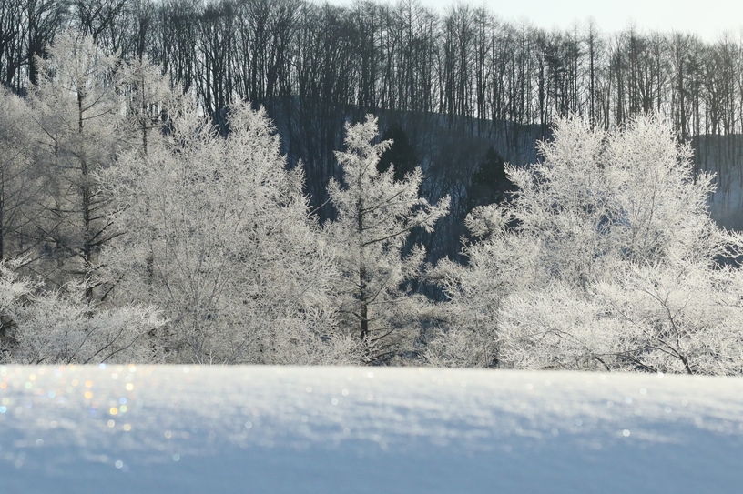 【50歳以上の方と、二人でお得】　１００歳プラン
