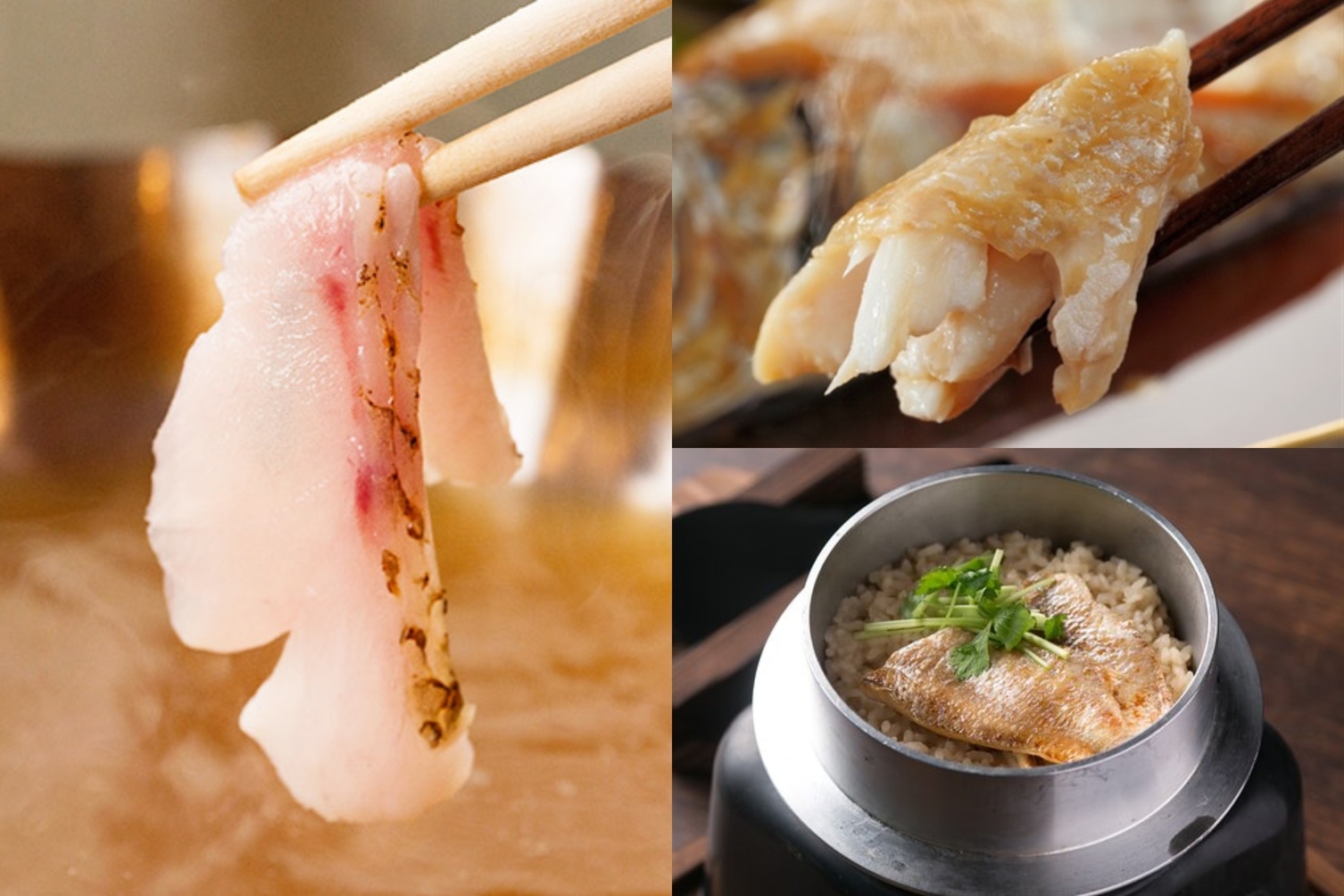 のどぐろのしゃぶしゃぶと煮付け釜飯のノドグロ三昧日本海会席